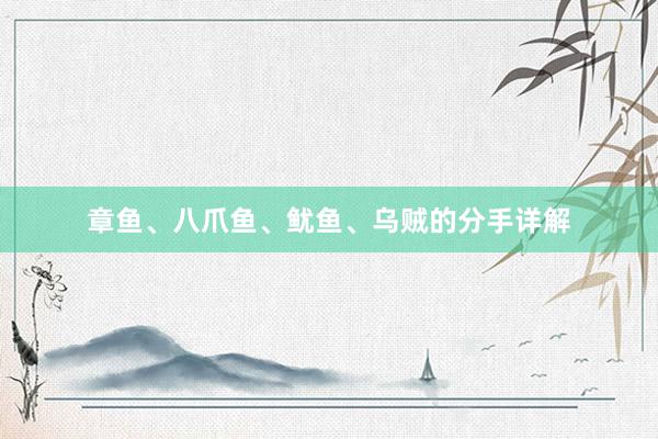 章鱼、八爪鱼、鱿鱼、乌贼的分手详解